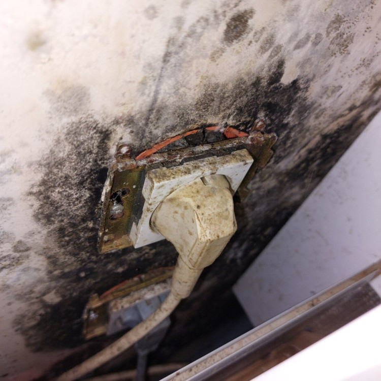 humidité dans les murs autour d'une prise de courant