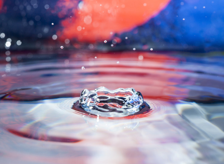 Diagnostic humidité