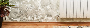 Présence d'humidité sur un mur